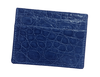 Electric Blue Small Credit Card Case